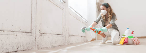 Best Biohazard Mold Removal  in Forest Hill, TX